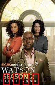 华生第二季：福尔摩斯的逆袭