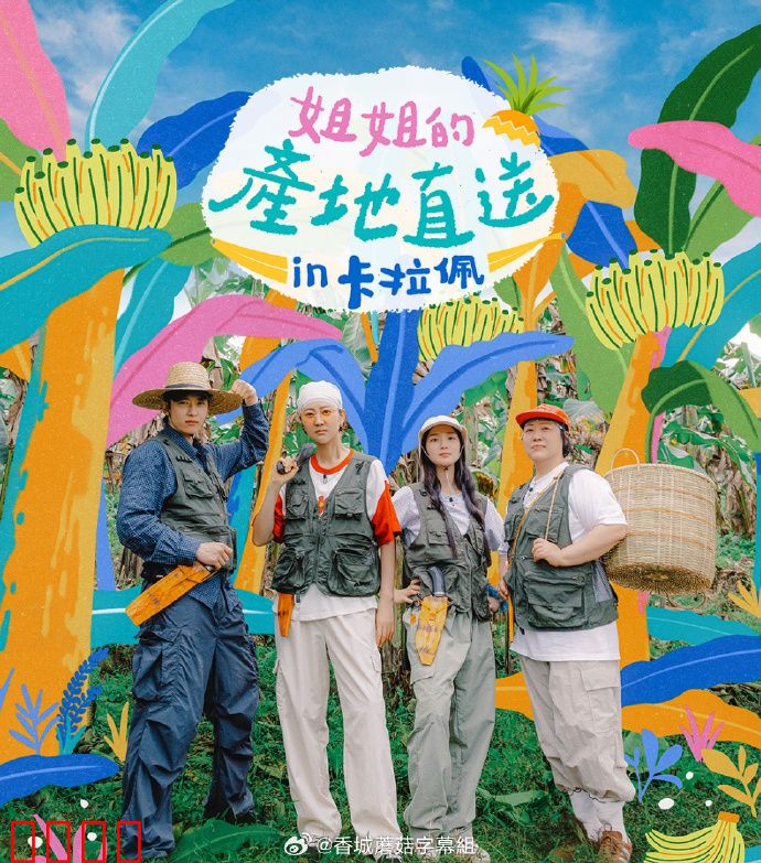 姐姐家的产地直送3：温情回归