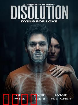 溶解：消失的真相