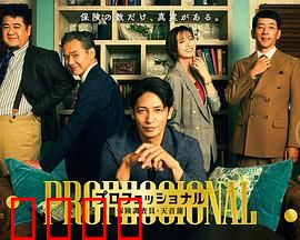 专业人士：孤胆复仇