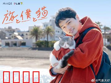 旅行和我和猫：治愈之旅