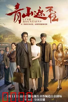 青山遮不住：乱世情缘