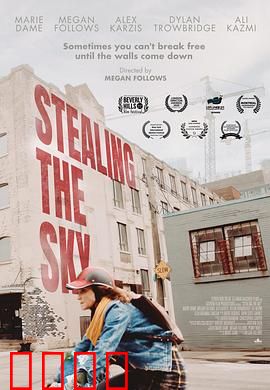 窃取天空：盗色风云