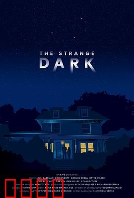 奇异黑暗：光与影的谜局