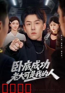 卧底成功老大可是我的人：无间地狱