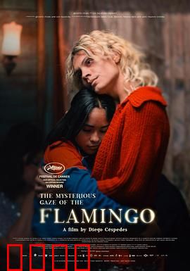 弗拉明戈的神秘眼神：舞动复仇之魂