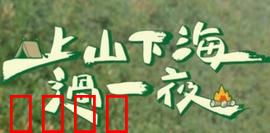 上山下海过一夜：荒野求生实录