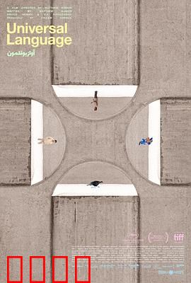 共同的语言：从波斯到枫叶