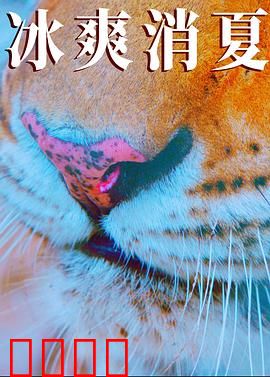 寒冰白血：冰原医魂