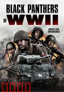 二战黑豹：血色传奇