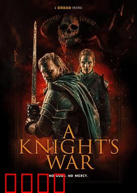 骑士的战争：圣光觉醒