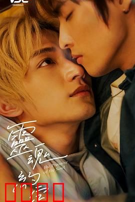 灵魂约定：跨越时空的救赎