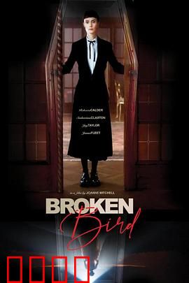 折翼鸟：重生之翼