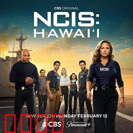 海军罪案调查处：疑云追击