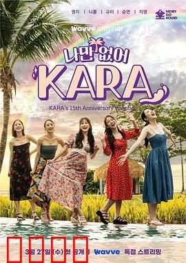 只有没有我，KARA：爱而不得的代价