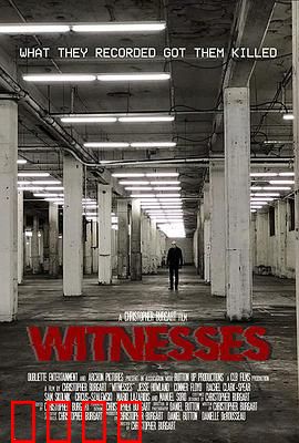 目击者2019：致命盲区