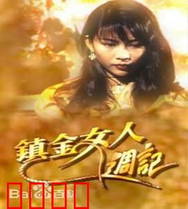 镇金女人周记粤语：职场突围记