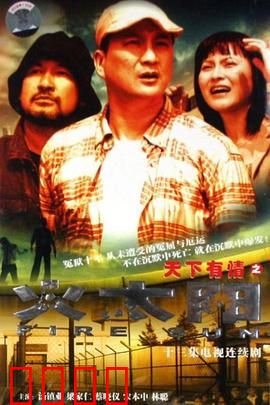 天下有情之火太阳国语：悲情姐妹花