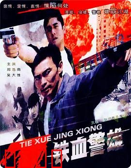 铁血警雄：正义的代价