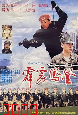 霹雳凤凰：铁血女警传奇