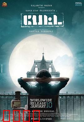 神勇佩塔：勇闯神秘丛林