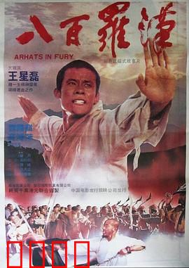 八百罗汉：血战少林寺