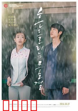 绽放2015：舞动青春