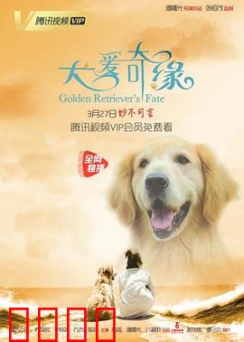 犬爱奇缘：忠诚守护