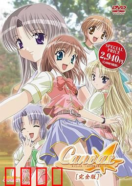 Canvas ～茶色的主题～：青春与艺术的交响