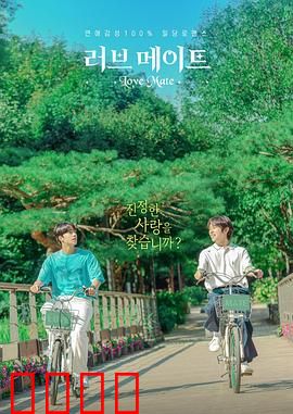 爱情伴侣：情感迷宫