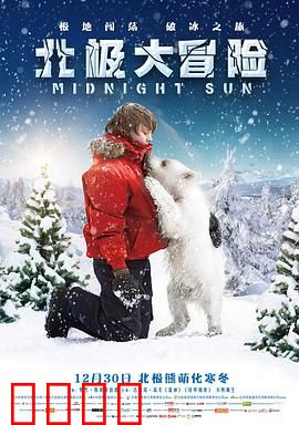 北极大冒险：冰原护熊记