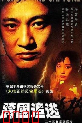 跨国追逃：正义无国界