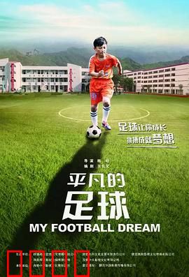 平凡的足球：追逐梦想的绿茵