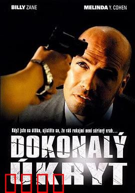 完美隐藏：密室之谜