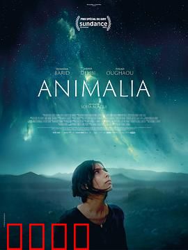 动物界：森林中的自由与抉择